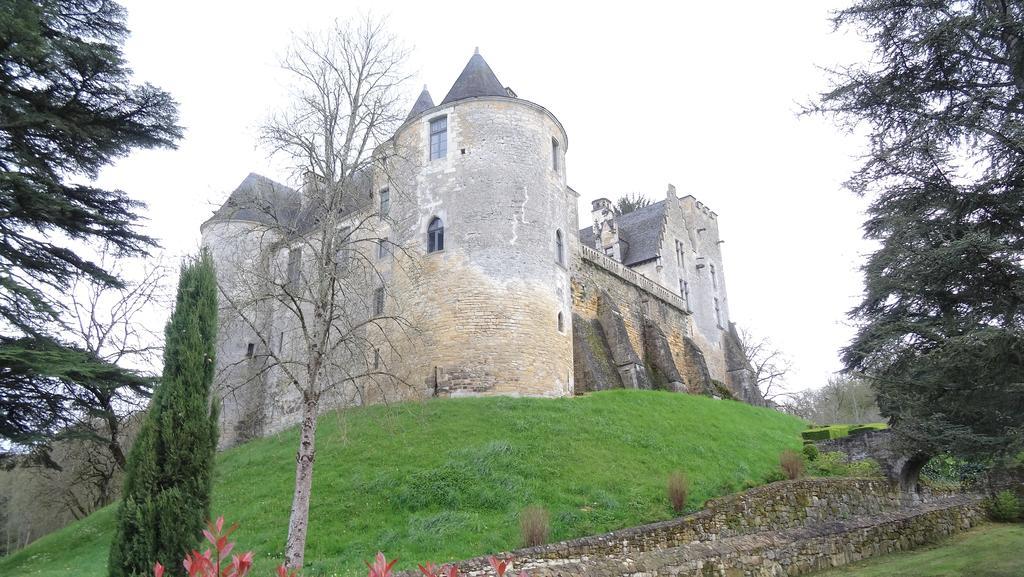 Terre D'Histoire - Baignade - Canoe - Piste Cyclable A 100 M Castelnaud La Chapelle Exteriör bild