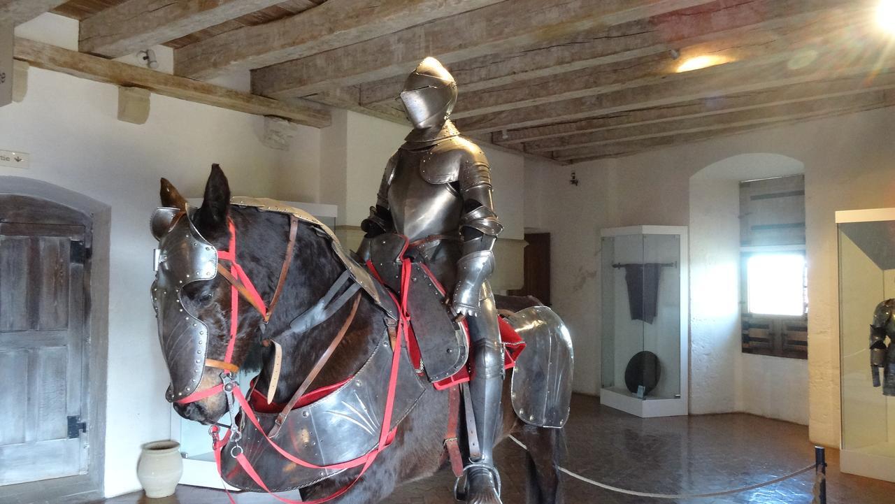 Terre D'Histoire - Baignade - Canoe - Piste Cyclable A 100 M Castelnaud La Chapelle Exteriör bild